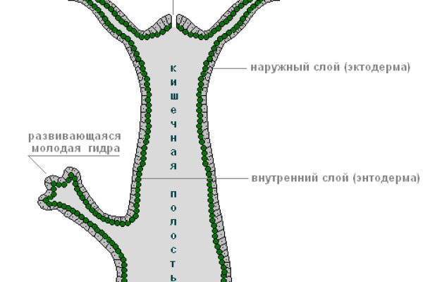 Mega ссылка tor зеркало