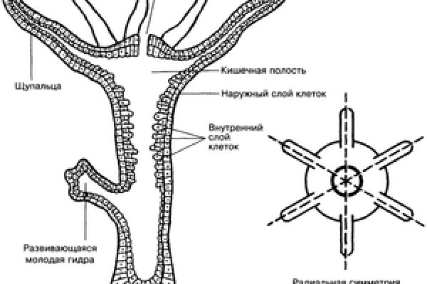 Ссылка сайт кракен